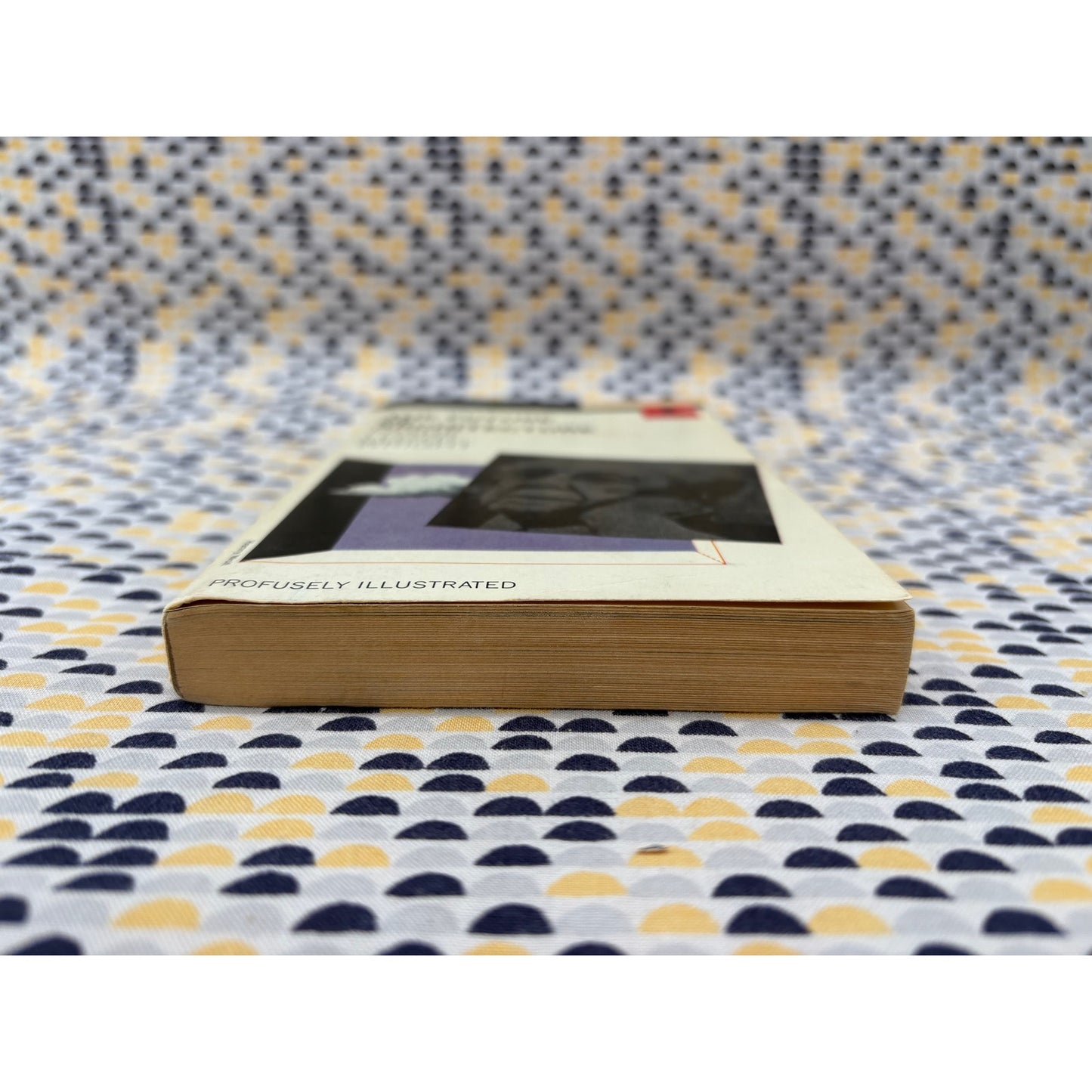 The Future Of Architecture - Frank Lloyd Wright - Mentor - Paperback