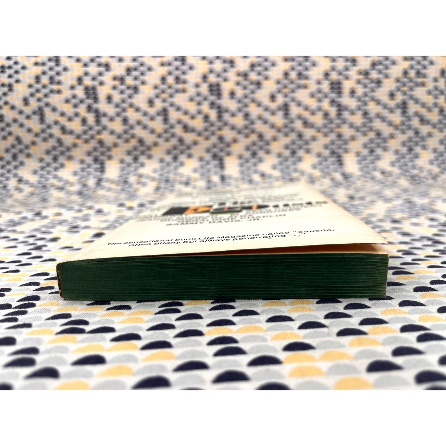 The Egotists - Oriana Fallaei - Tempo Books - Paperback