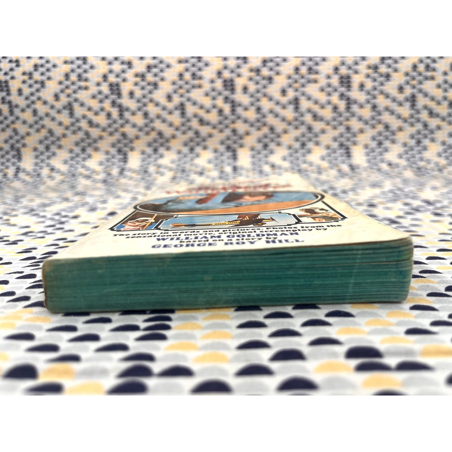 The Great Waldo Pepper - William Goldman - Dell Books - Movie Novelization