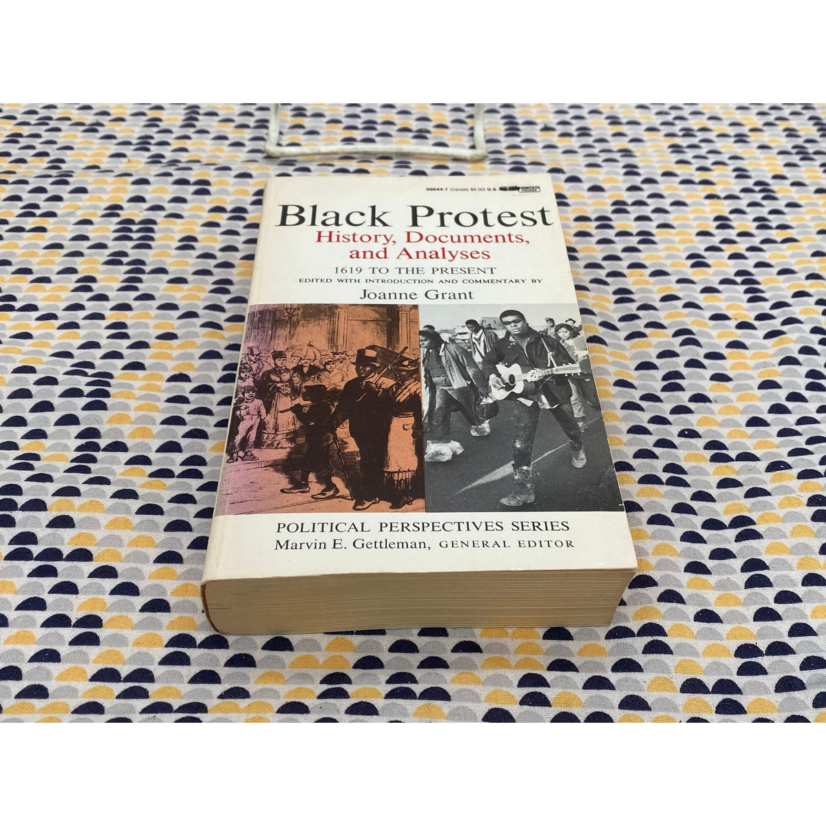 Black Protest - History, Documents, and Analyses - 1619 to Present- Joanne Grant