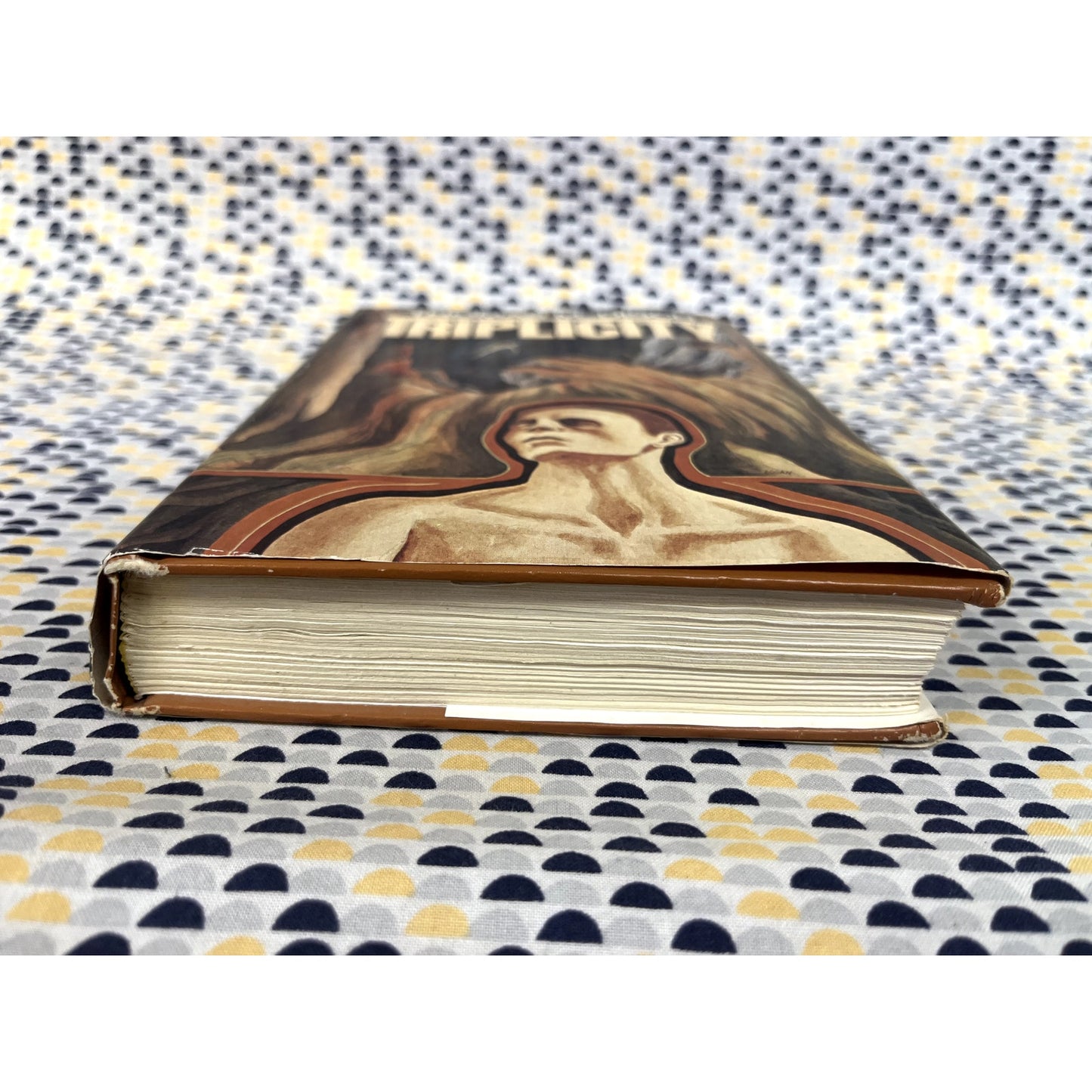 Triplicity - Thomas M. Disch - Nelson Doubleday - Hardcover - Club Edition