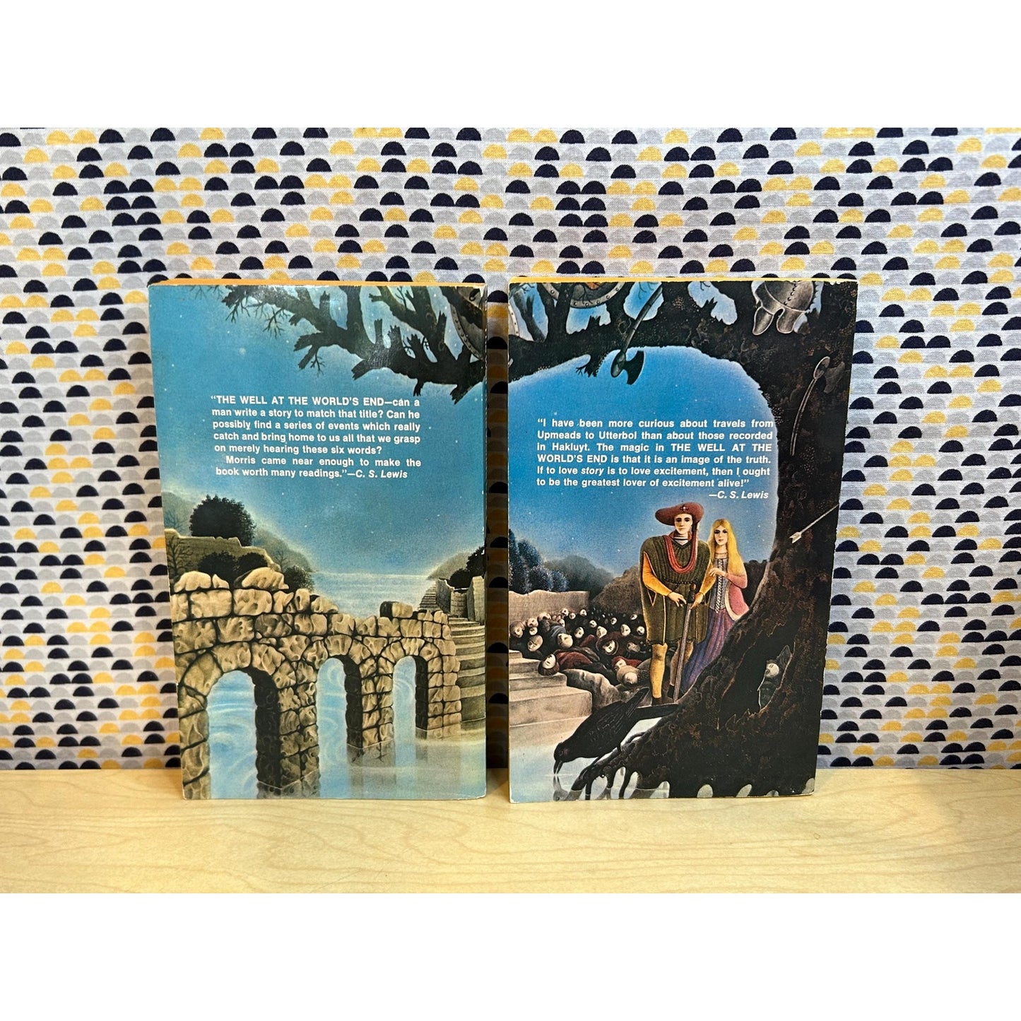 The Well At The World's End: Volume I and II - William Morris - Vintage Paperback Books - Ballantine Editions