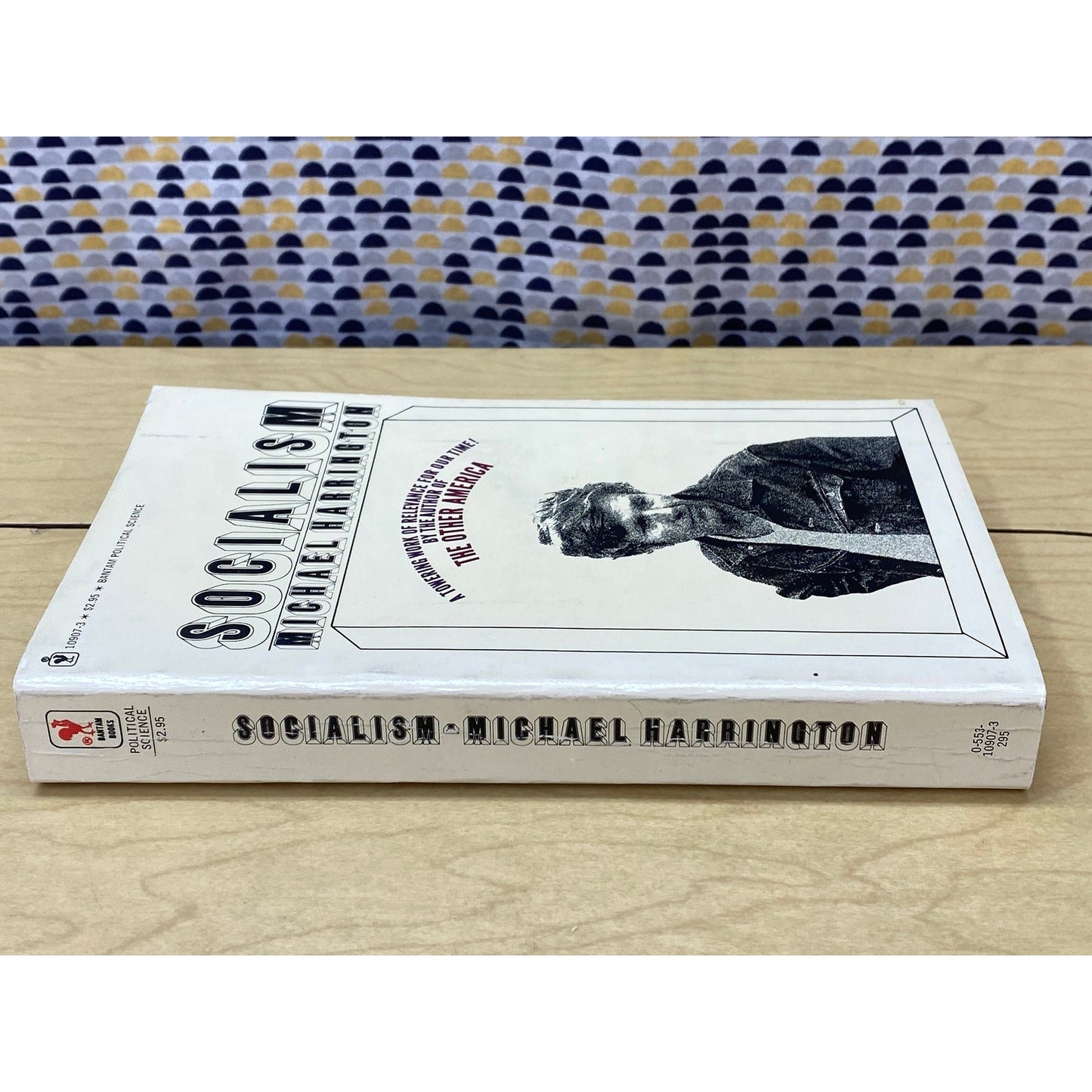 Socialism - Michael Harrington - Vintage Paperback Book - Bantam Political Science Edition