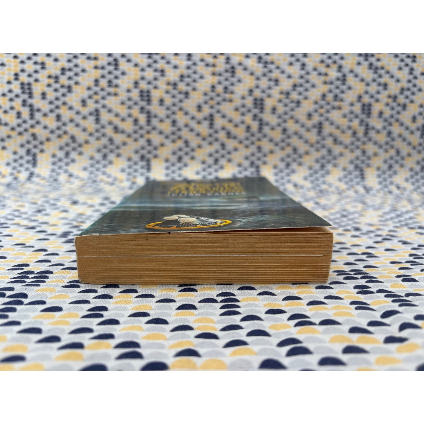 A History Of The World In 10 1/2 Chapters - Julian Barnes - Picador - Paperback