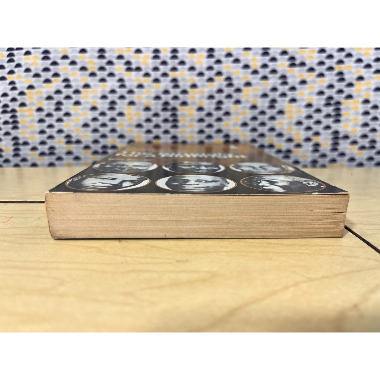 The Struggle for a Birthright - Mary Benson - Penguin African Library