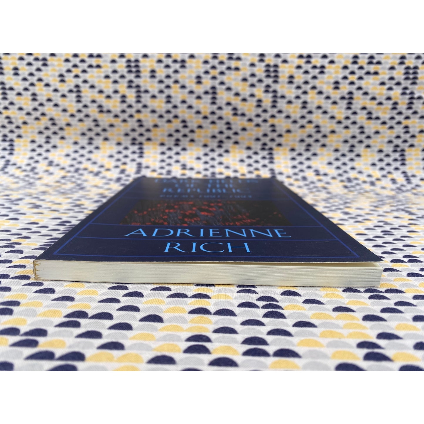 Dark Fields Of The Republic - Adrienne Rich - Norton - Paperback