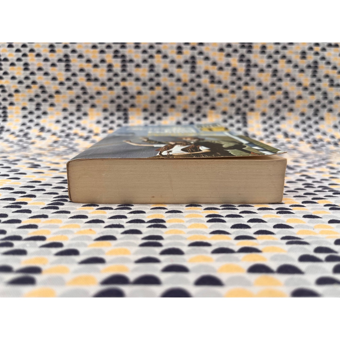 The Hitchhiker's Field Manual - Paul DiMaggio - Collier Books