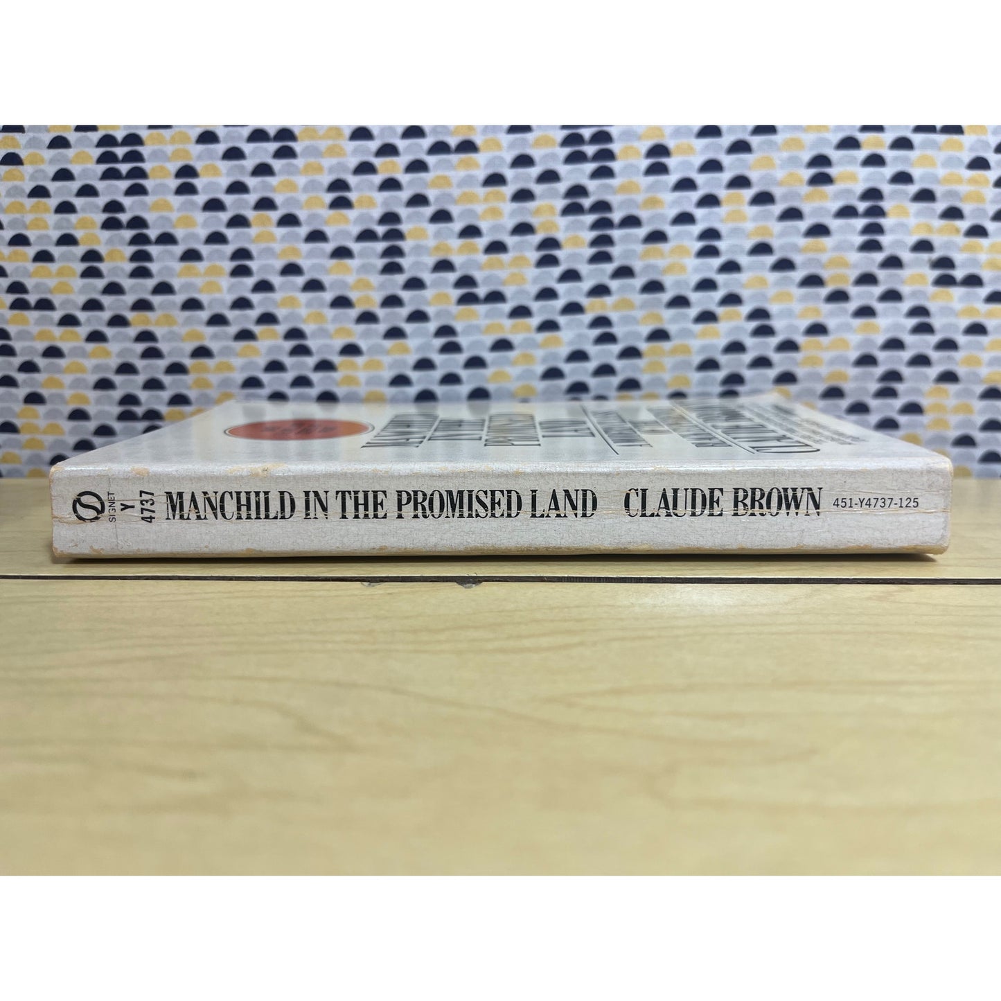 Manchild in the Promised Land - Claude Brown - Vintage Paperback Book - Signet Edition