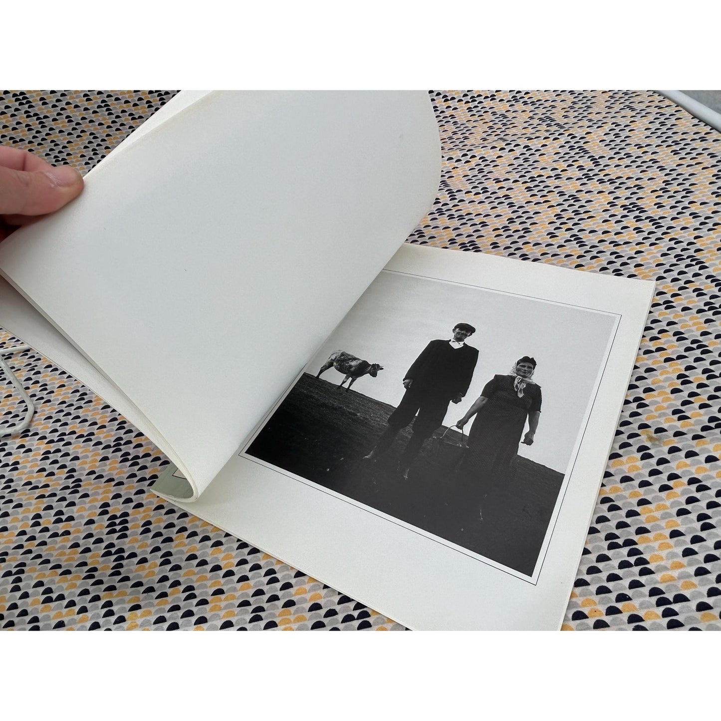 Masters Of Photography: Dorothea Lange - Jan Arrow, text- Macdonald & Co Edition
