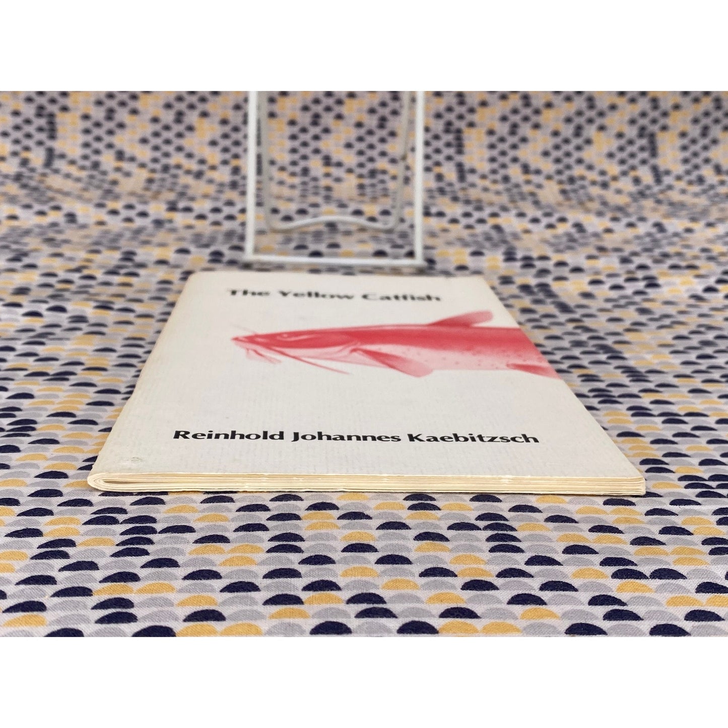 The Yellow Catfish - Reinhold Johannes Kaebitzsch -Red Mountain Publishing House