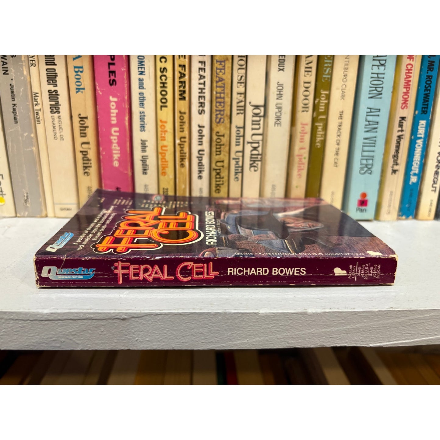 Feral Cell - Richard Bowes - Questar - Paperback