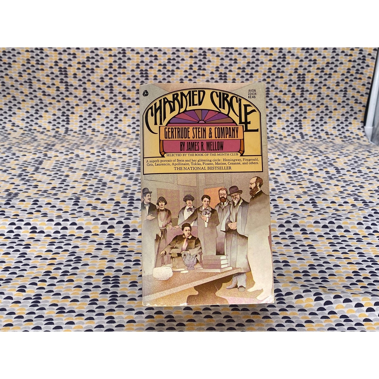 Charmed Circle - Gertrude Stein & Company - James R. Mellow - Vintage Paperback Book