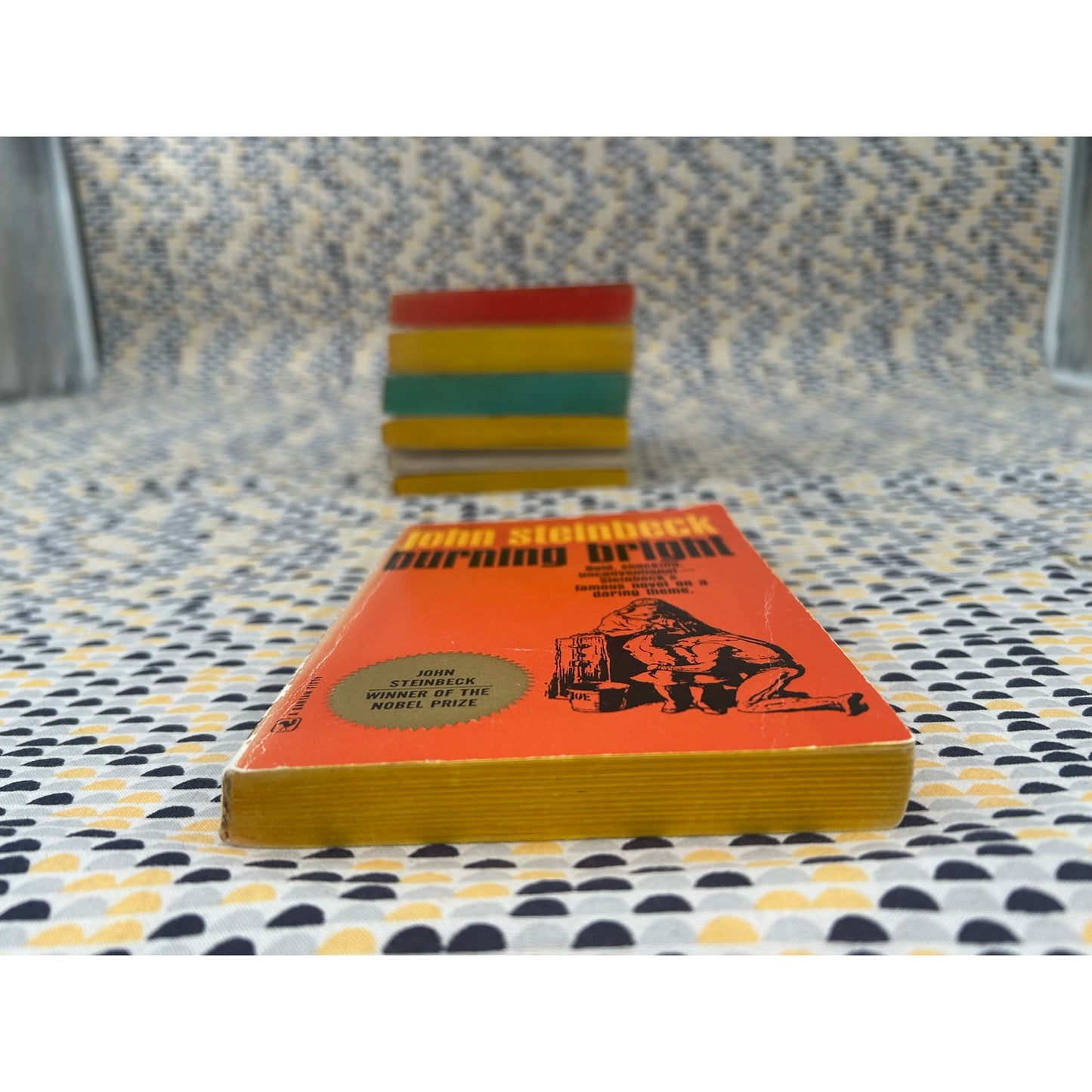 Burning Bright - John Steinbeck - Vintage Paperback Book Bantam Books Edition