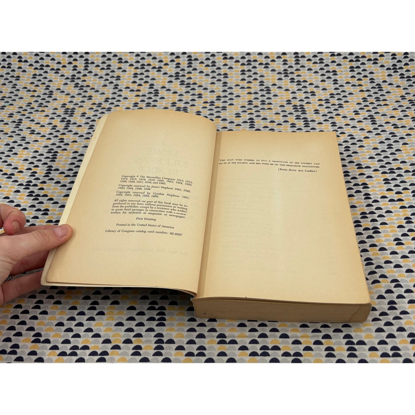A James Stephens Reader - Macmillan - Paperback