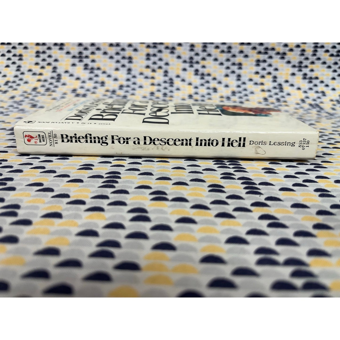 Briefing for a Descent Into Hell - Doris Lessing - Vintage Paperback Book - Bantam Edition