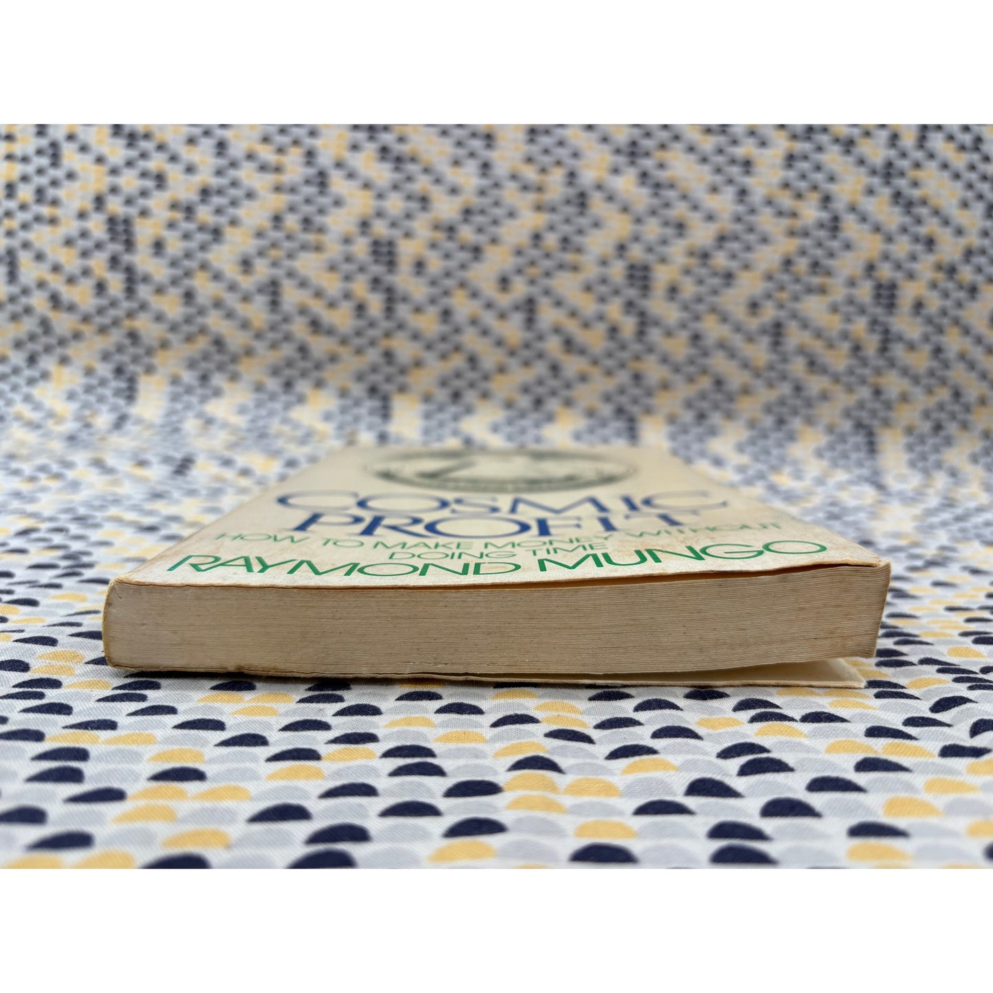 Cosmic Profit - Raymond Mungo - Little Brown - Paperback