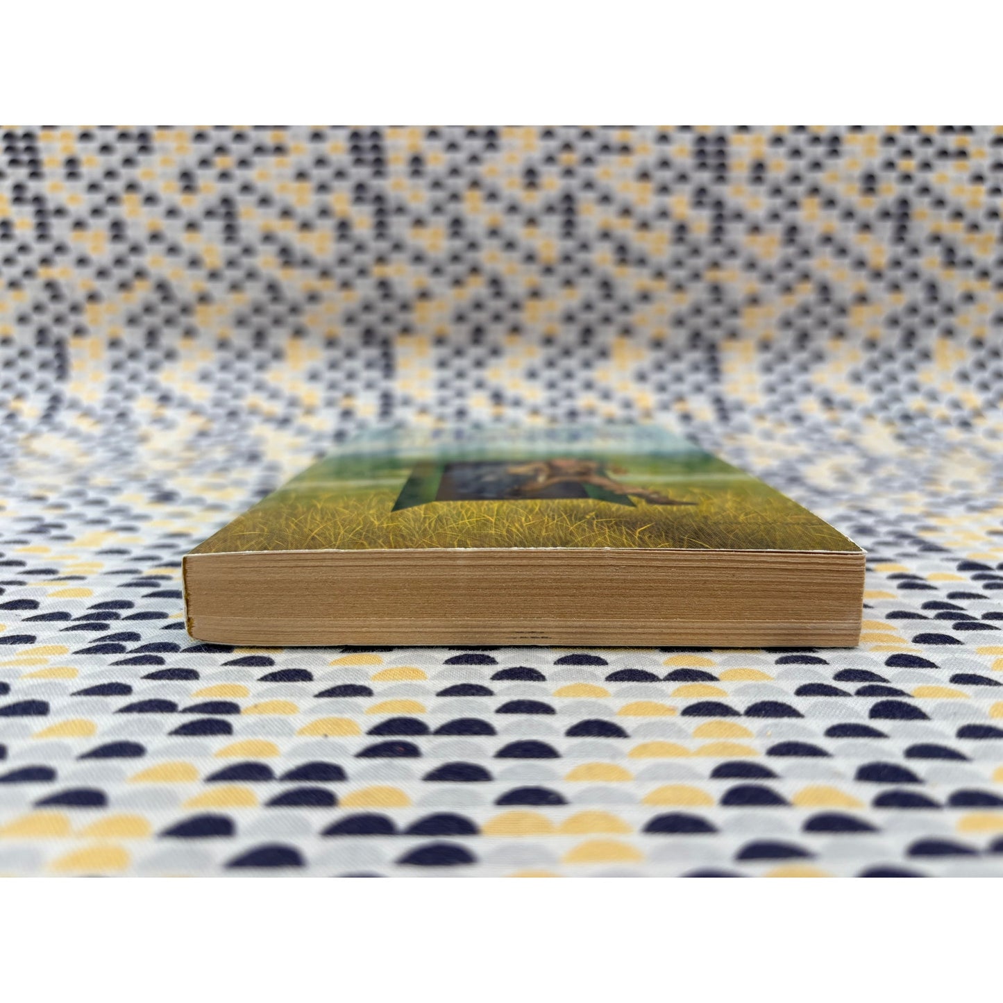 Tunnel In The Sky - Robert A. Heinlein - Vintage Paperback Book - Ace Edition