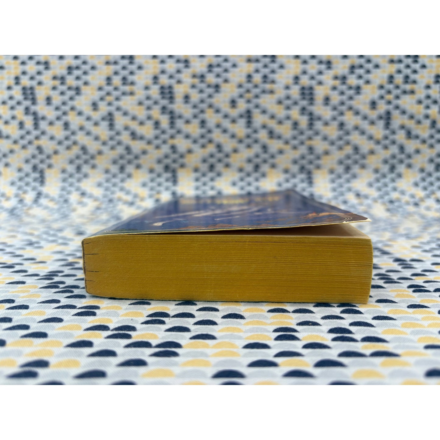 No Enemy But Time - Michael Bishop - Pocket Books - Paperback