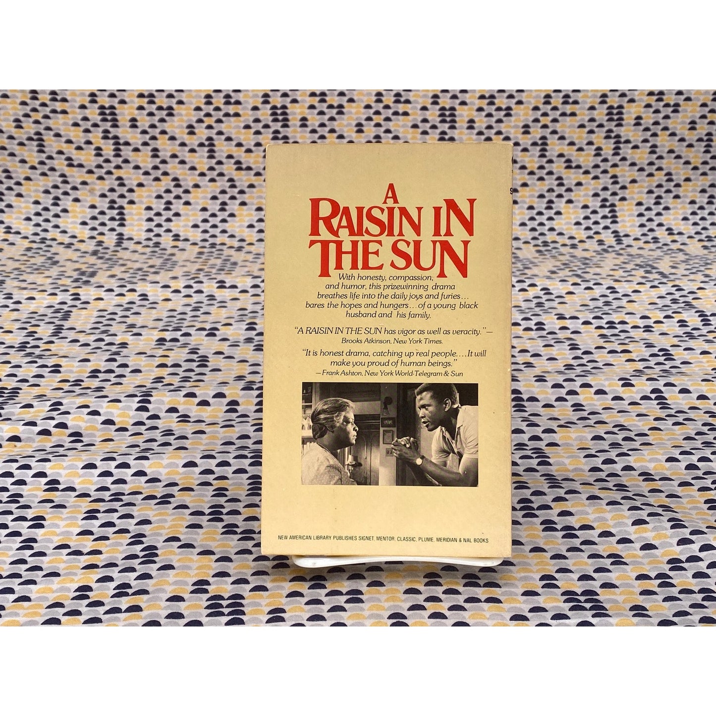 A Raisin In The Sun - Lorraine Hansberry - TV Tie In Edition - Vintage Paperback Book - Signet Edition