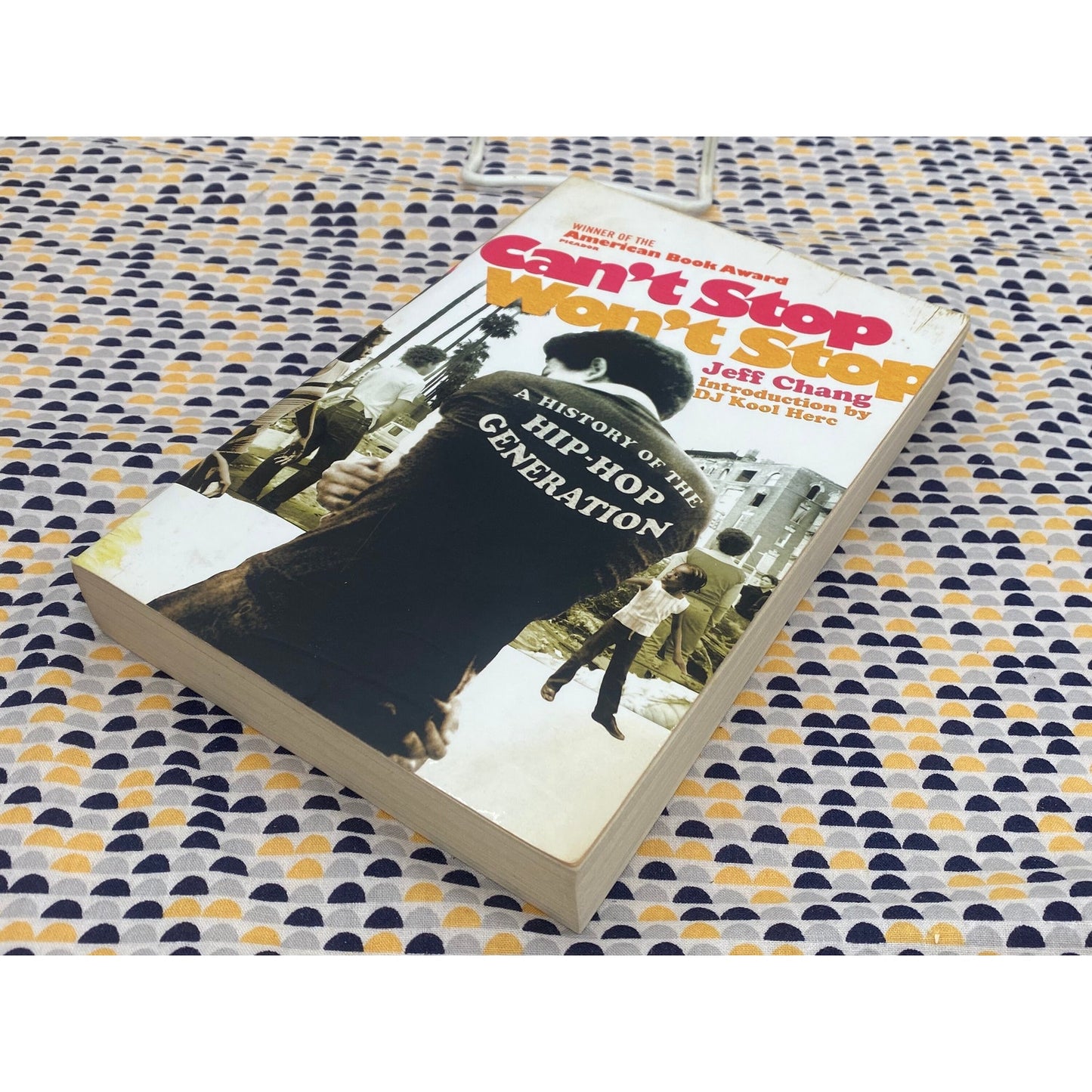 Can't Stop Won't Stop - A History of the Hip-Hop Generation - Jeff Chang