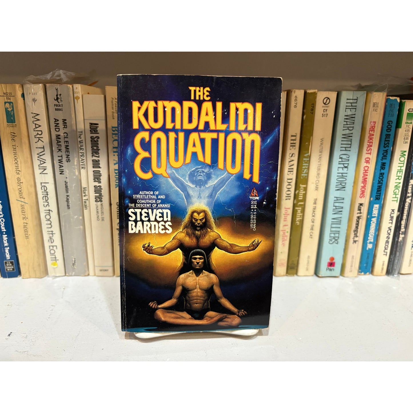 The Kundalini Equation - Steven Barnes - Tor - Paperback