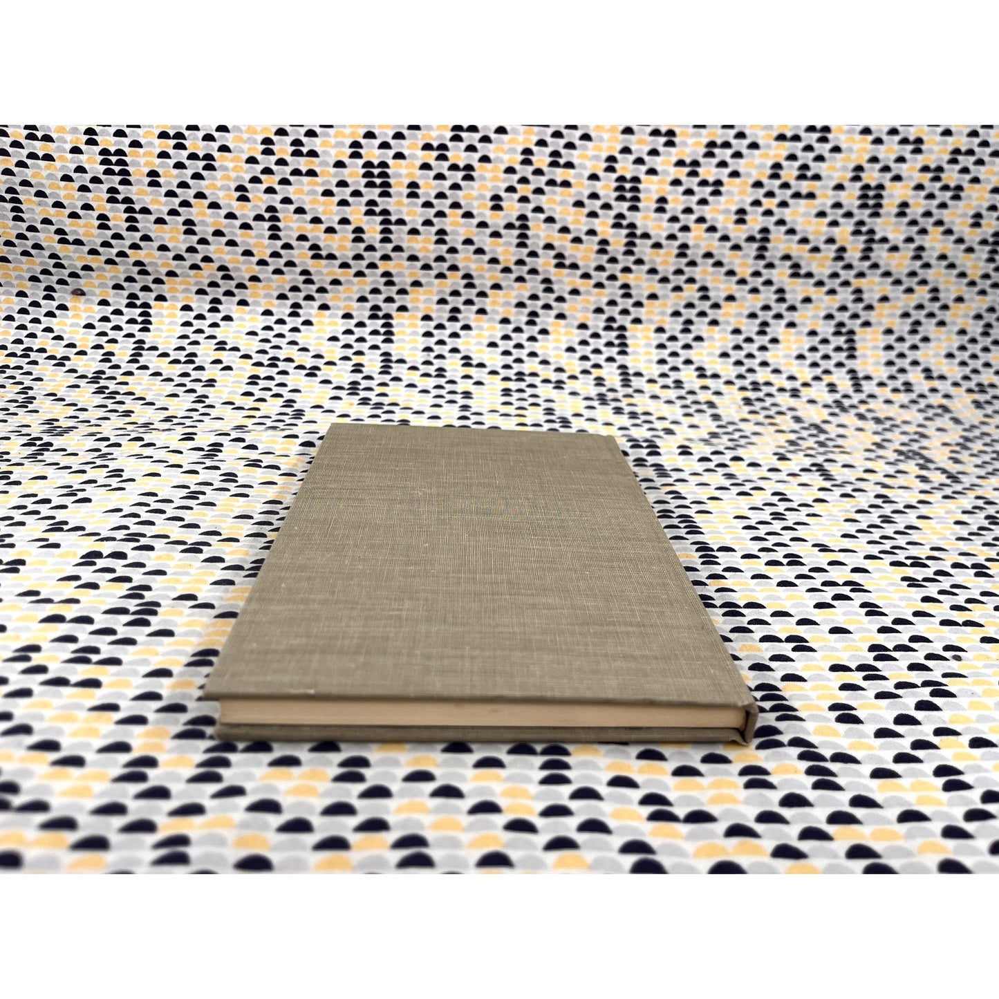 The Chicago Race Riots: July, 1919 - Carl Sandburg - Harcourt, Brace & World Books - Hardcover