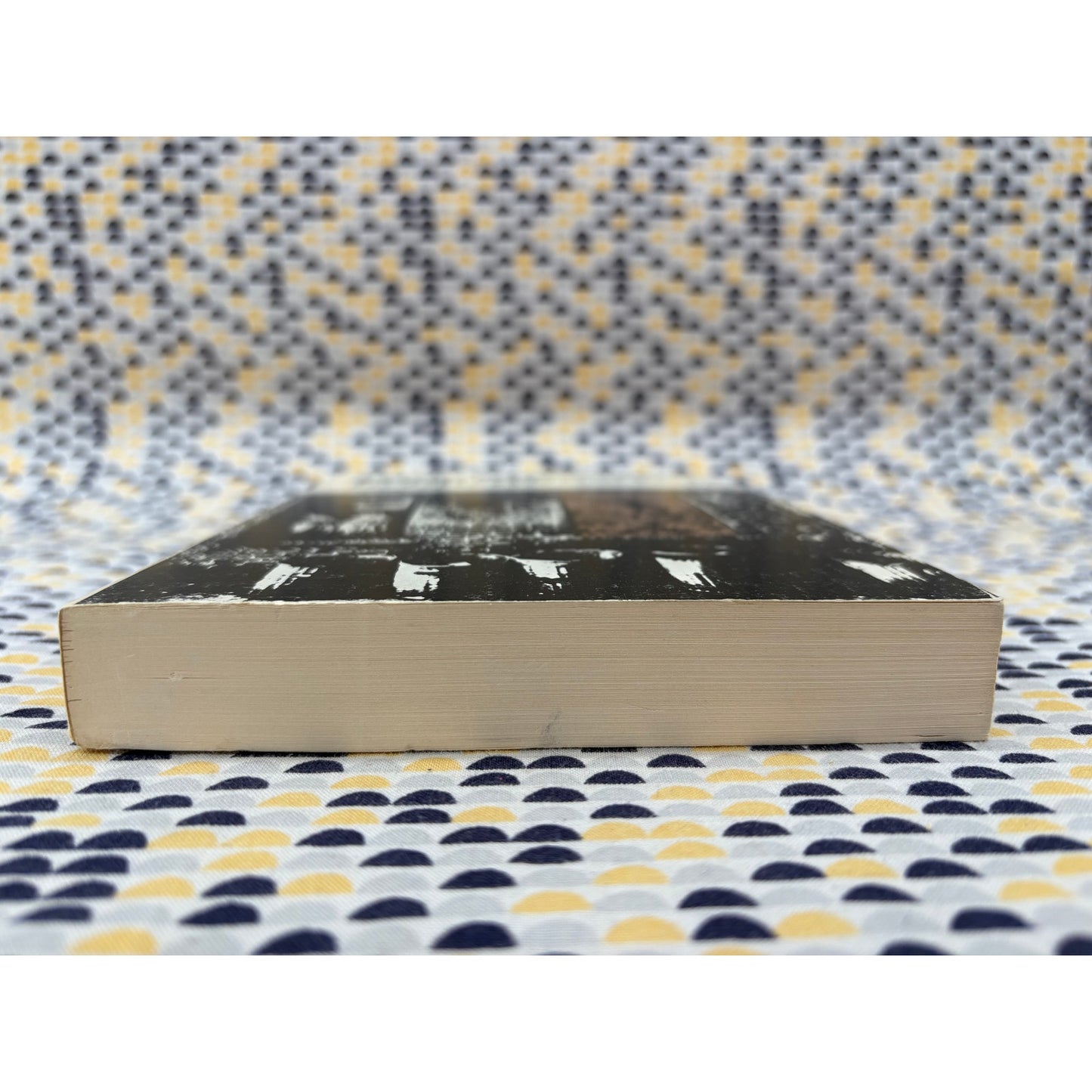 From Plantation To Ghetto: An Interpretive History Of American Negroes - Meier and Rudwick - Vintage Paperback Book - Hill and Wang Edition