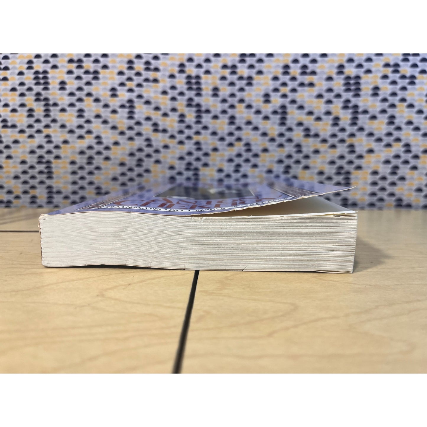 The Lady with the Dog and Other Stories - Anton Chekhov - Ecco Press Books - Paperback