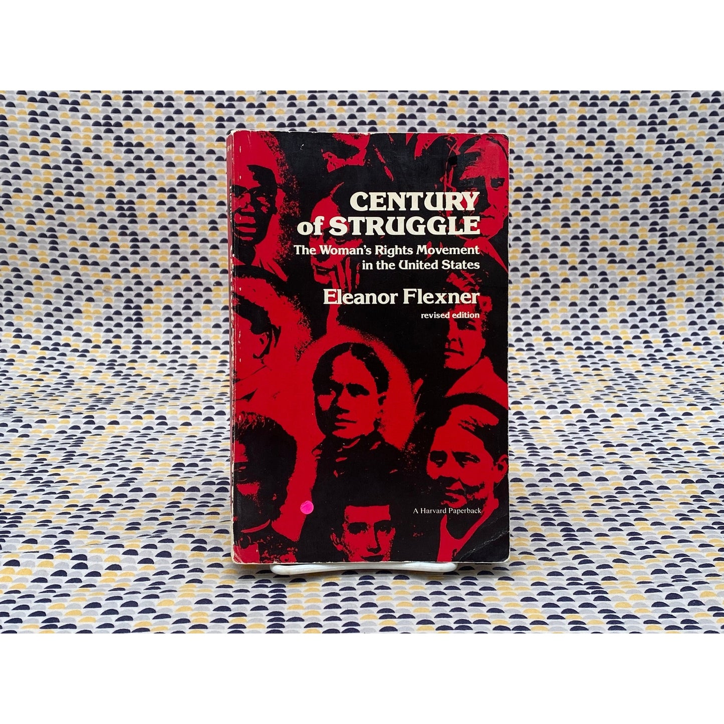 Century Of Strange: Woman's Rights Movement In United States - Eleanor Flexner