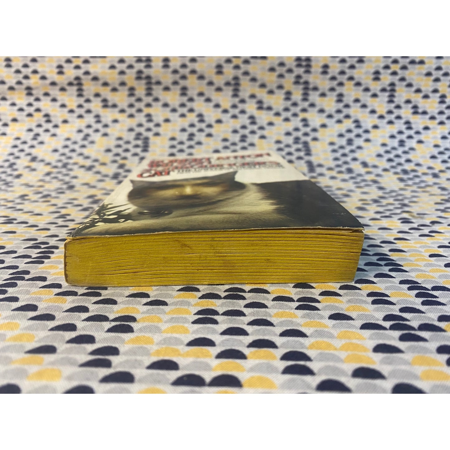 Schrodinger's Cat - The Universe Next Door -Robert Anton Wilson - Pocket Edition