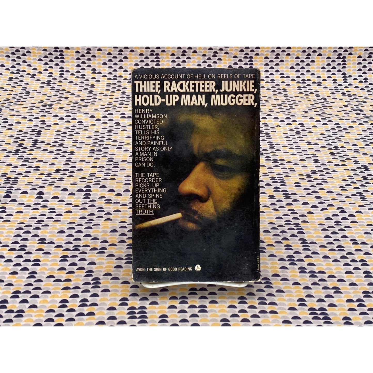 Hustler! - Henry Williamson - Prison Tapes - Vintage Paperback Book - Avon Edition
