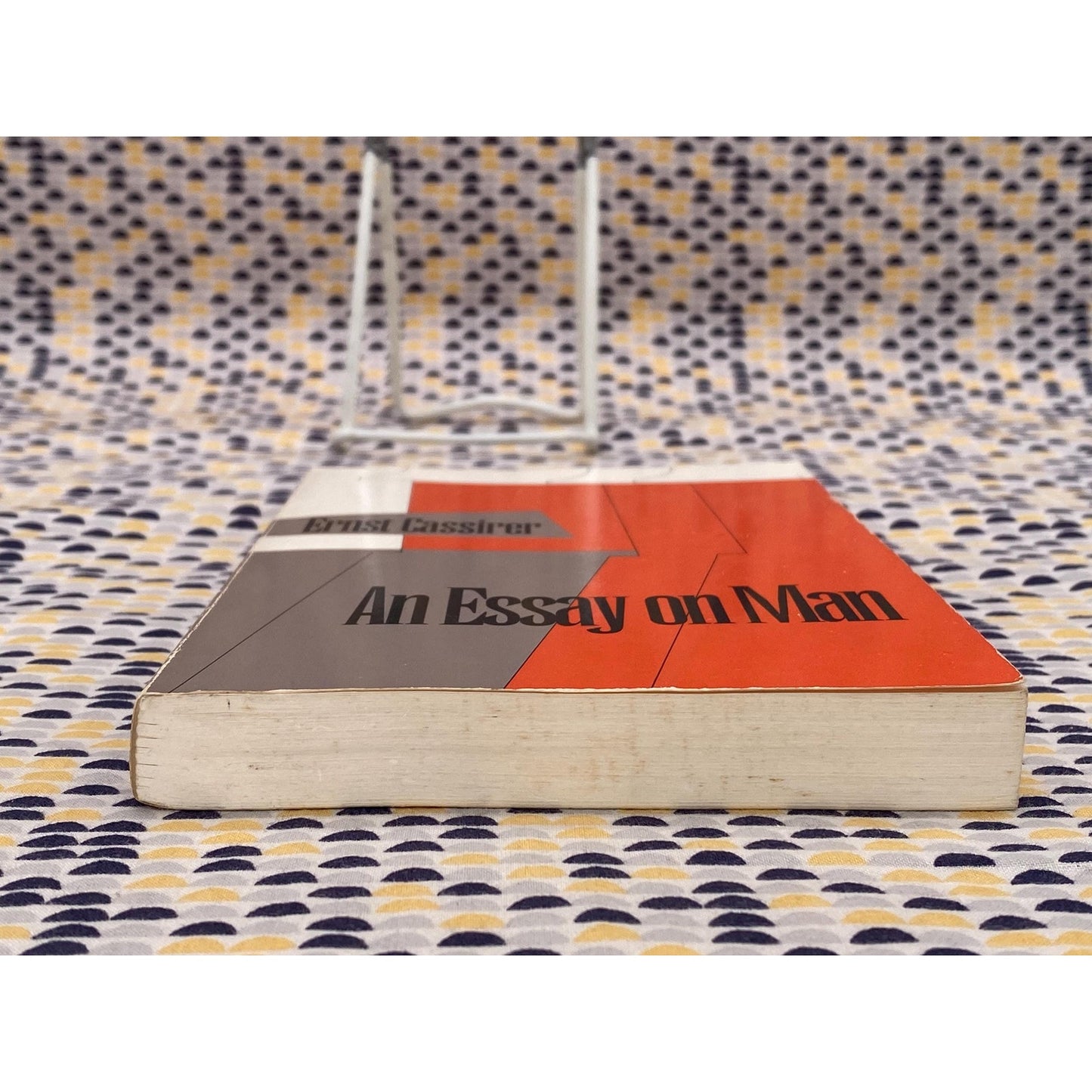 An Essay on Man - Ernst Cassirer - 95 cent Bantam Matrix Edition