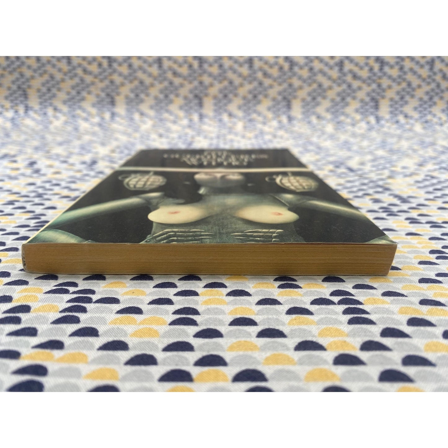 Les Guérillères - Monique Wittig - Guerilleres - John Holmes Cover Art - Picador Edition
