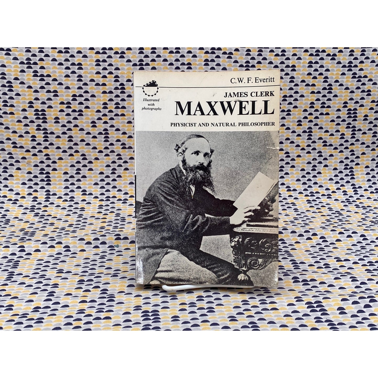 James Clerk Maxwell: Physicist And Natural Philosopher - C.W.F. Everitt