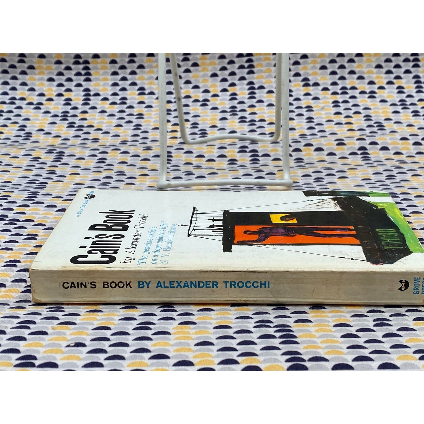 Cain's Book - Alexander Trocchi - Grove Press / Evergreen Black Cat Edition