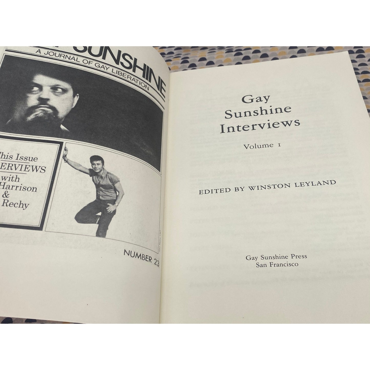 Gay Sunshine Interviews: Volume One - Winston Leyland, editor