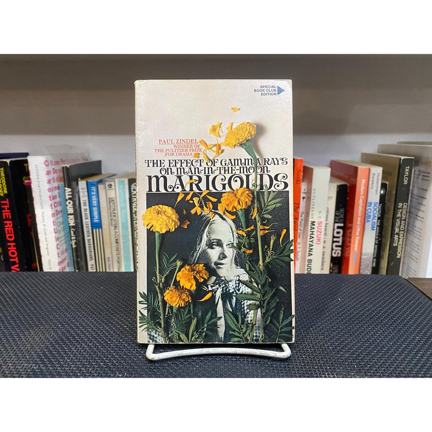 The Effect of Gamma Rays on Man In The Moon Marigolds - Paul Zindel - Bantam Edition