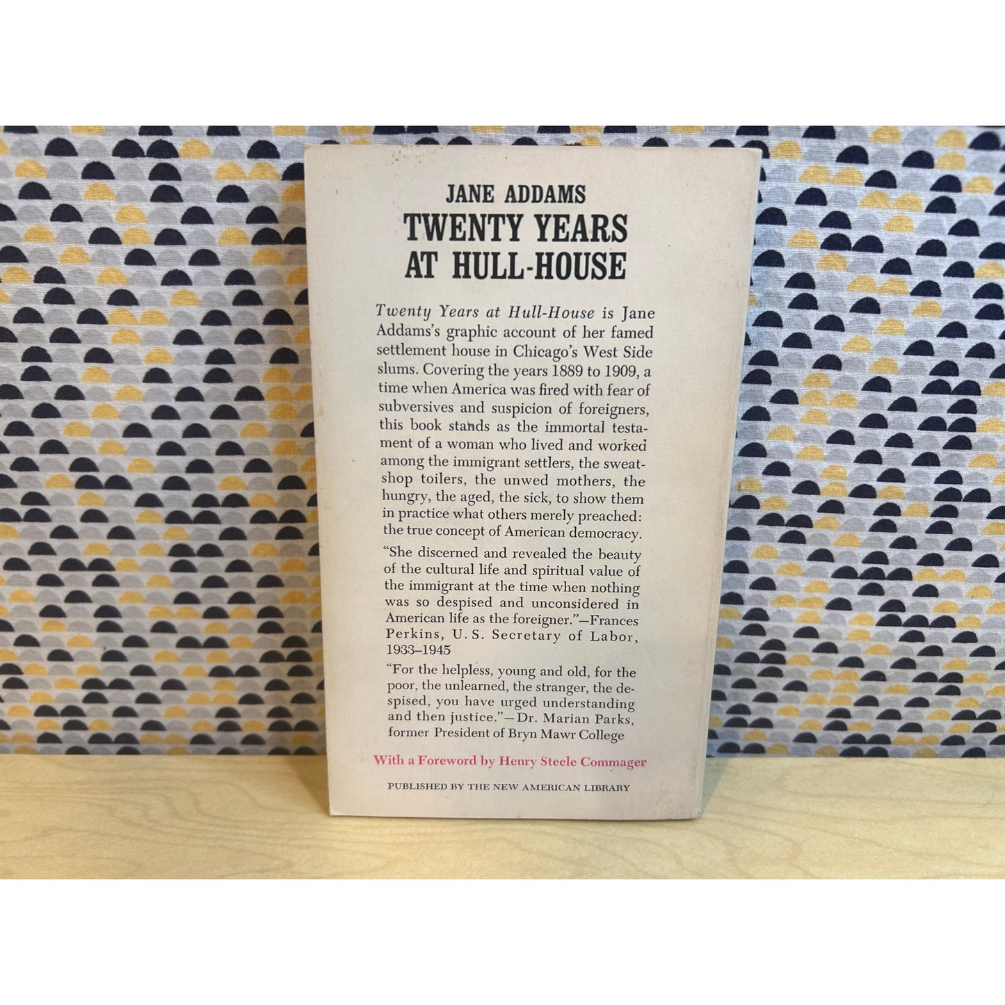 Twenty Years at Hull-House - Jane Addams - Vintage Paperback Book - Signet Classics Edition