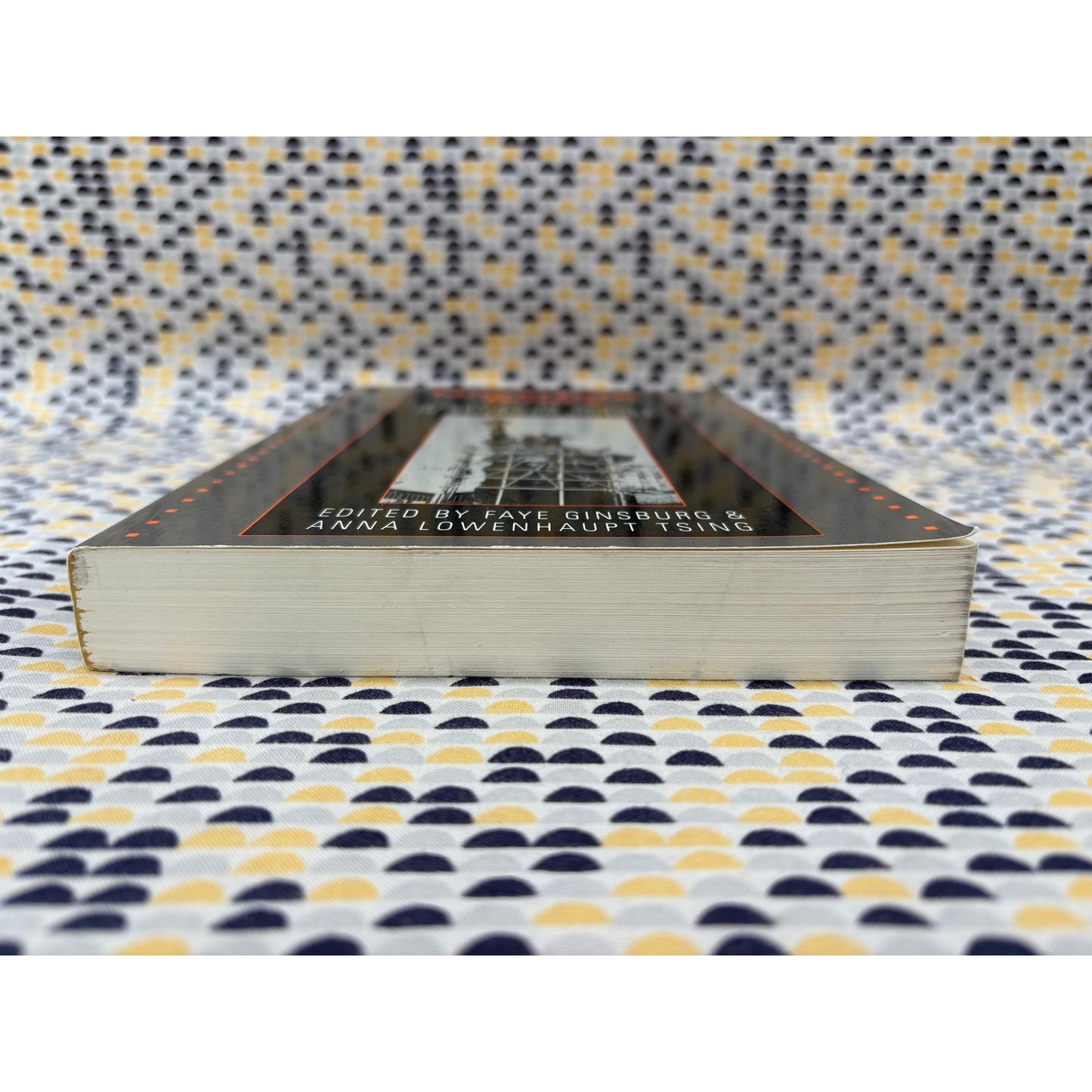 Uncertain Terms - Faye Ginsburg - Beacon - Paperback