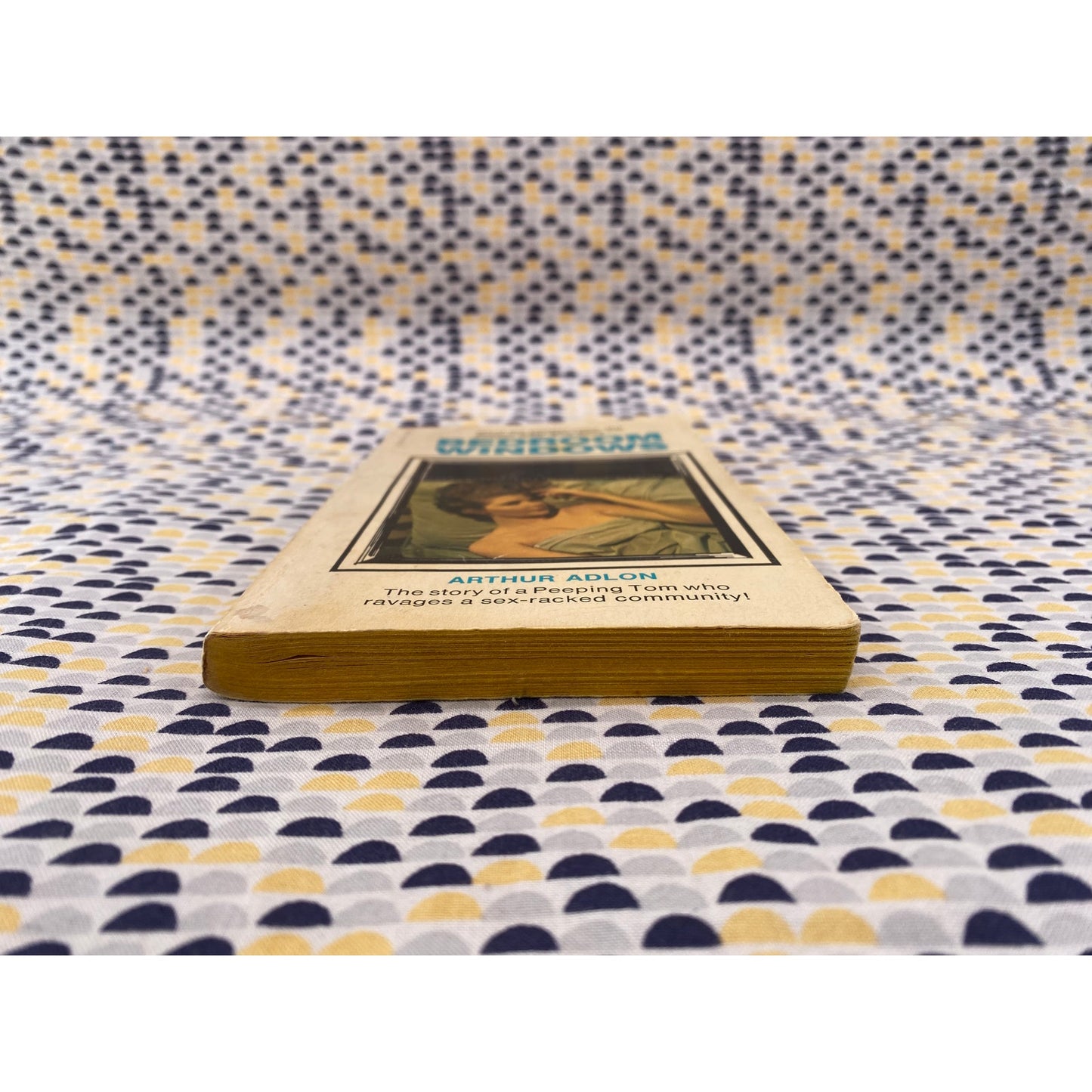 Bedroom Windows - Arthur Adlon - Softcover Library - Paperback