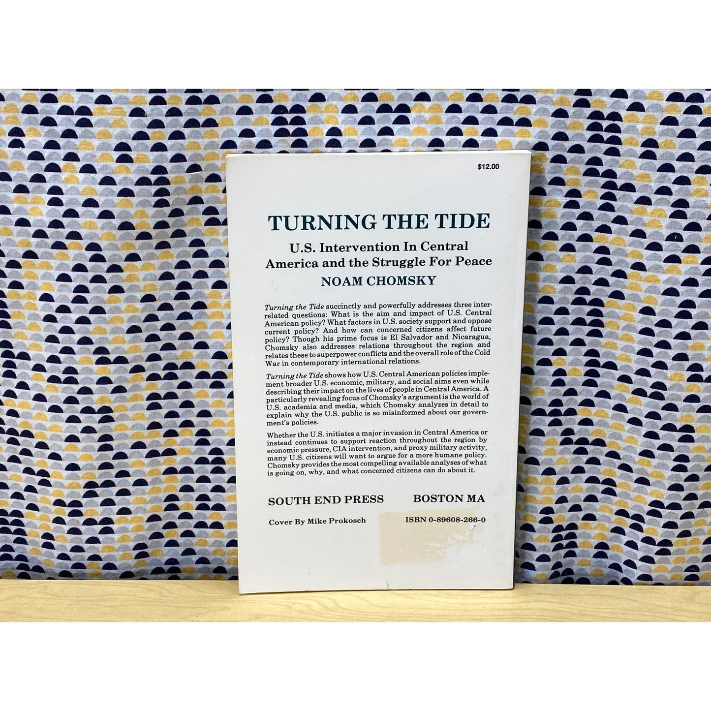 Turning the Tide - U.S. Intervention in Central America and the Struggle For Peace - Noam Chomsky - Vintage Paperback Book -South End Press