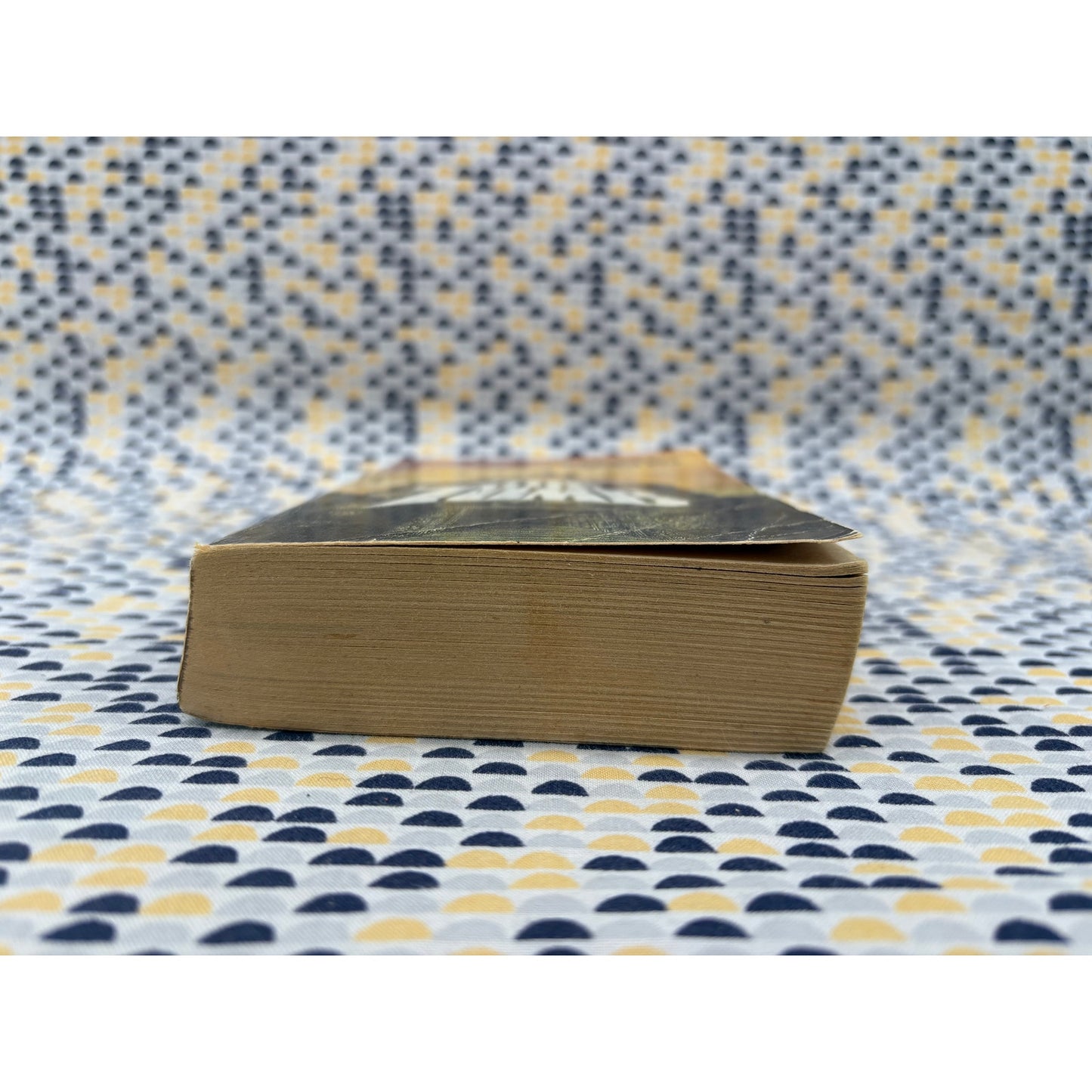 The Tomb - F. Paul Wilson - Jove - Paperback