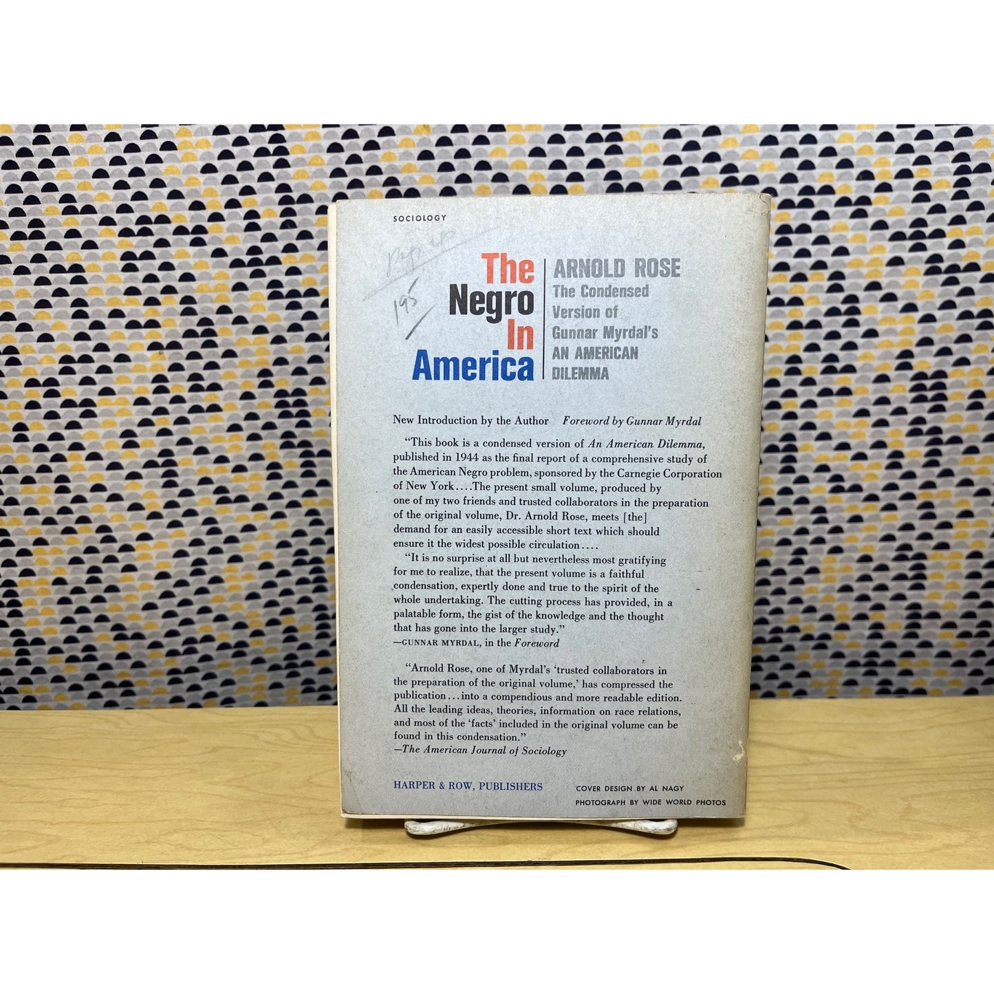 The Negro in America - Arnold Rose - Harper Torchbooks - Paperback