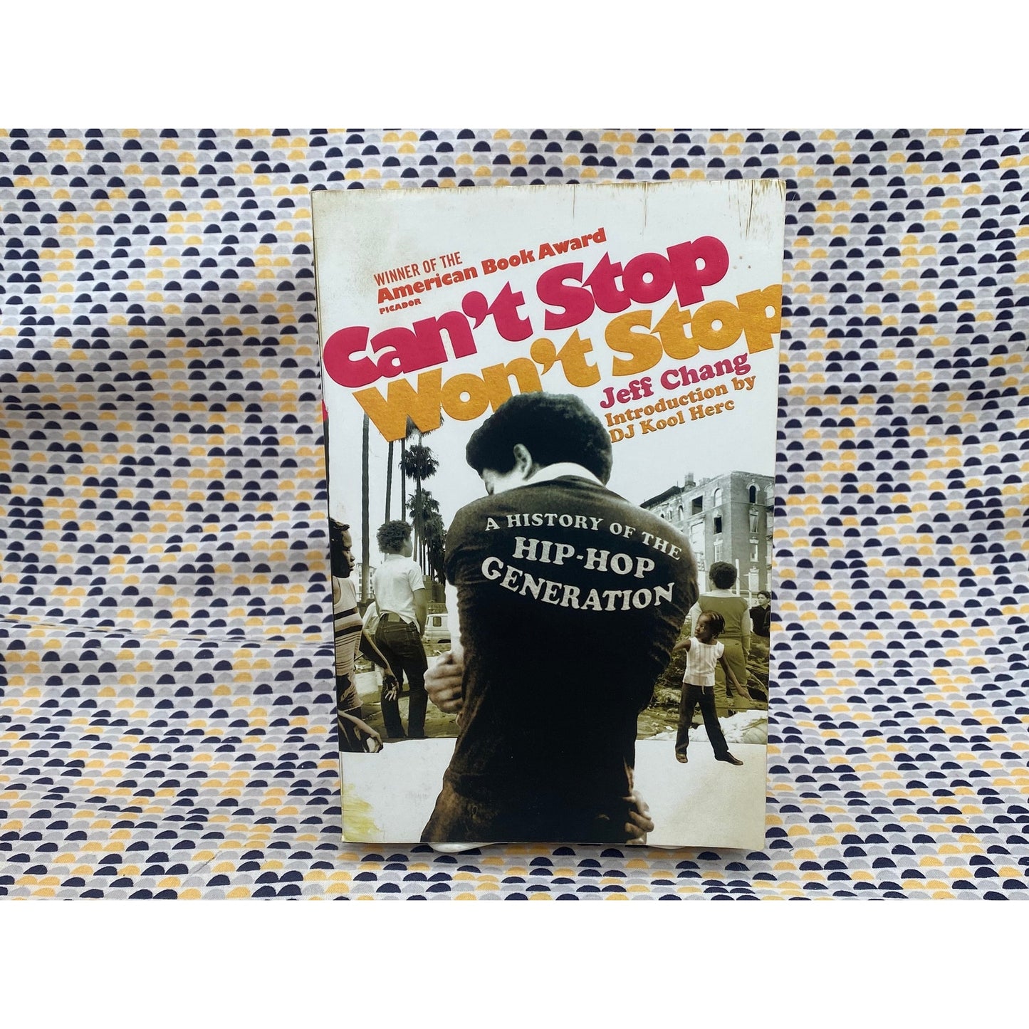 Can't Stop Won't Stop - A History of the Hip-Hop Generation - Jeff Chang