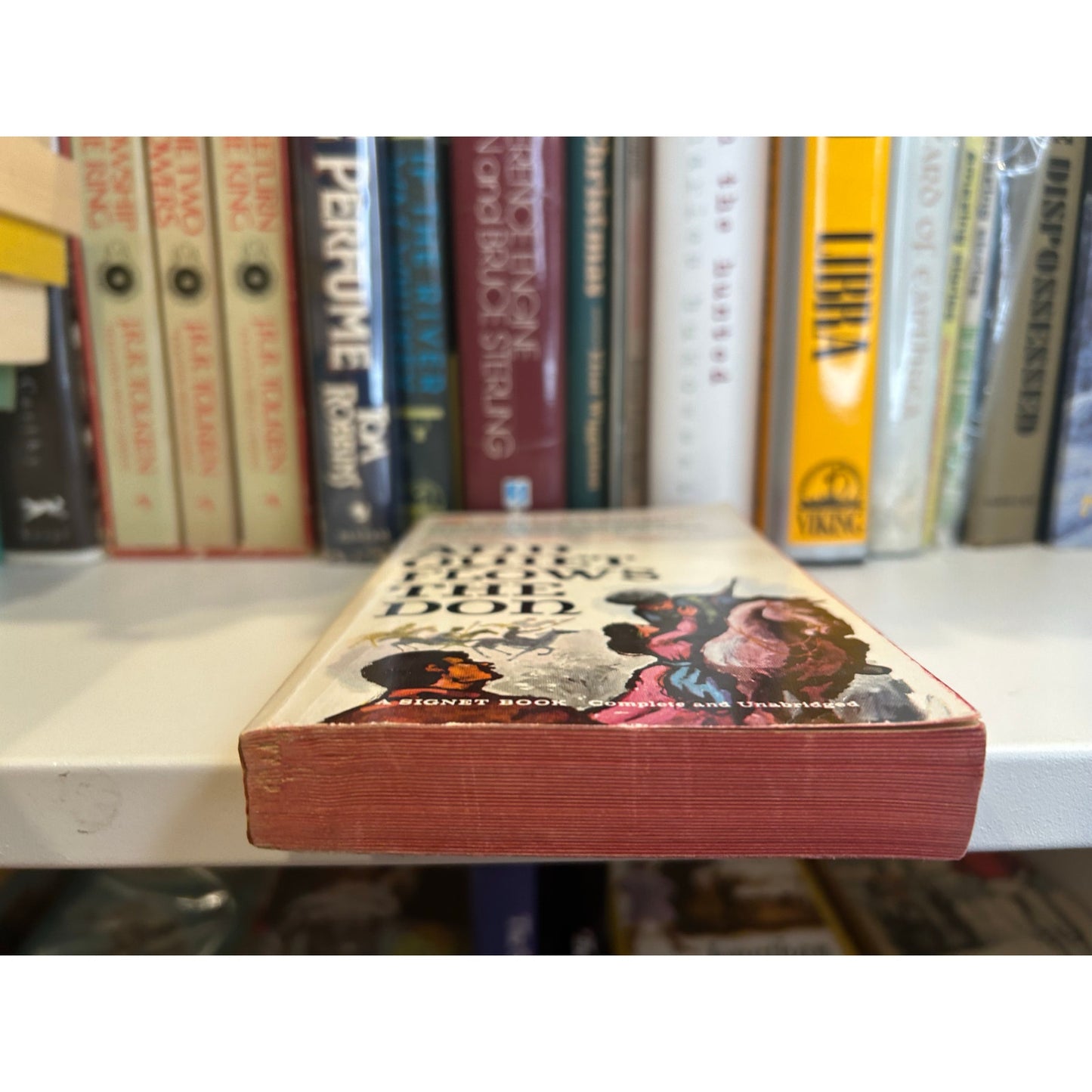 And Quiet Flows the Don = Mikhail Sholokhov - Paperback - Signet Edition