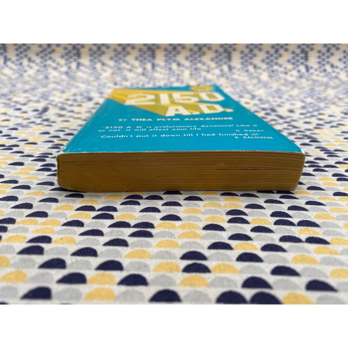 2150 - The Macro Love Story - Don and Thea Plym - Thea Alexander - Vintage Paperback Book - Macro Development Center