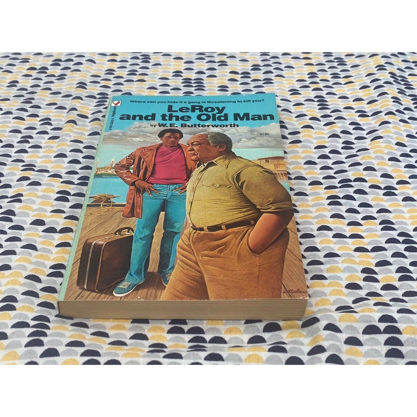 LeRoy and the Old Man - W.E. Butterworth - Vintage Paperback Book - Vagabond Edition