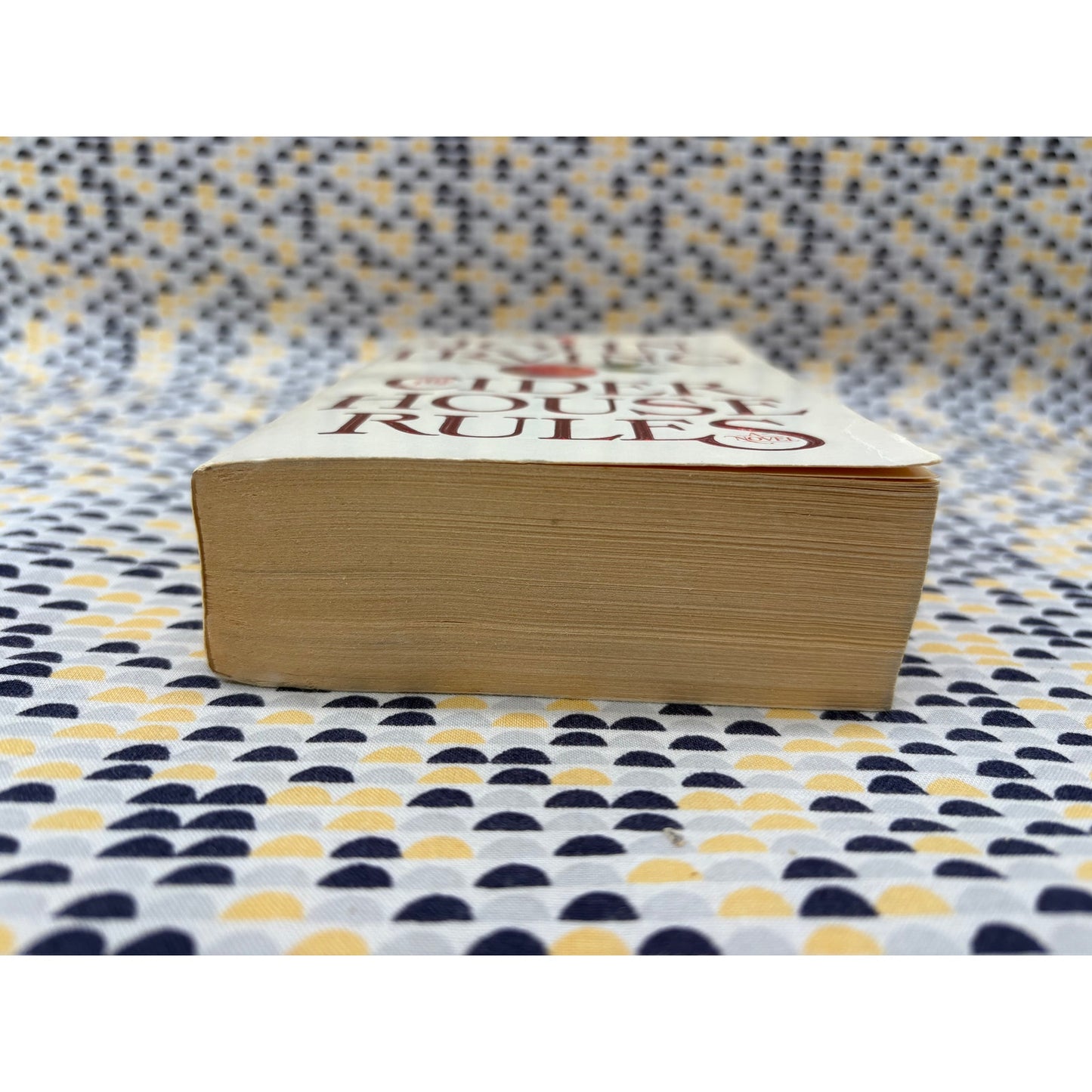 The Cider House Rules - John Irving - Bantam - Paperback