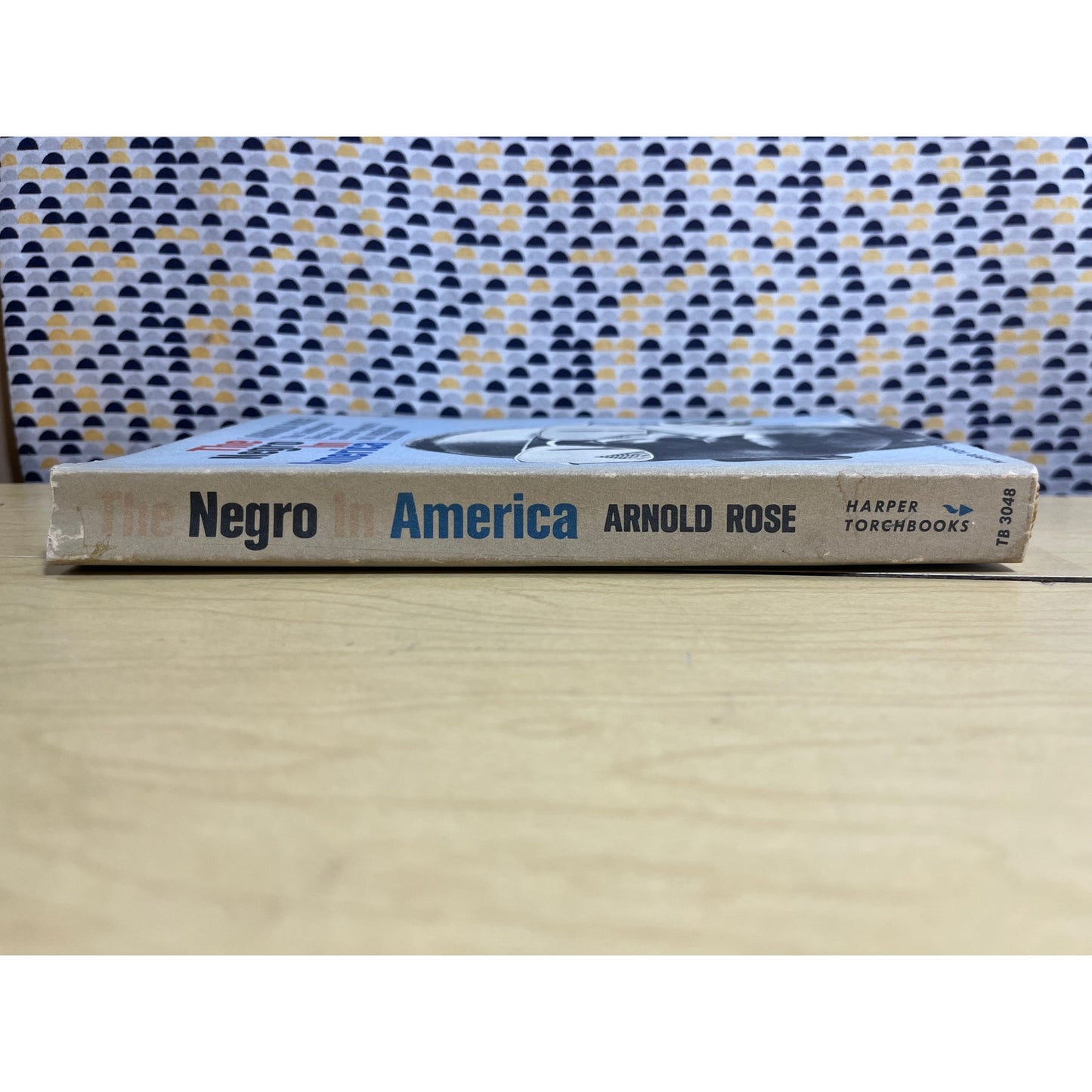 The Negro in America - Arnold Rose - Harper Torchbooks - Paperback