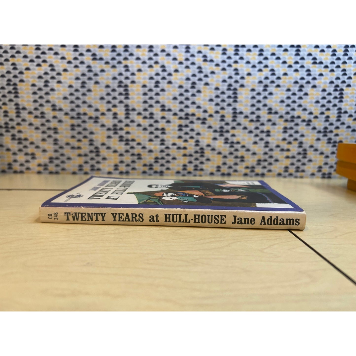 Twenty Years at Hull-House - Jane Addams - Vintage Paperback Book - Signet Classics Edition